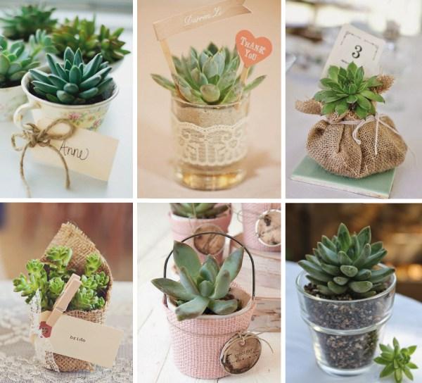 ideas-de-souvenirs-con-suculentas