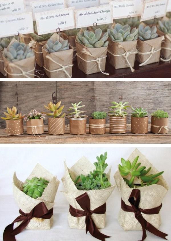 regalitos-con-suculentas