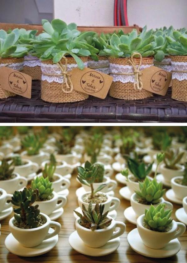 presentes-para-fiestas-con-suculentas