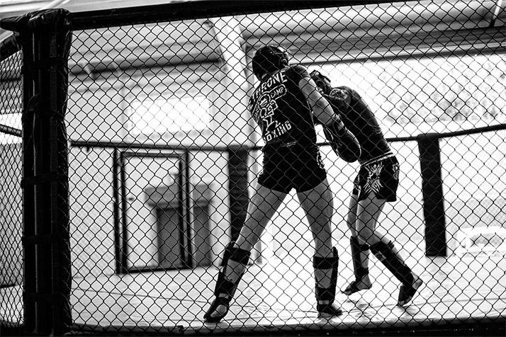 Principios de entrenamiento de Conor McGregor