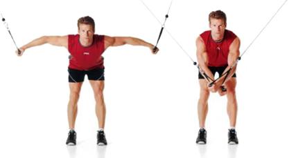 images.ducrossckduckgo.com