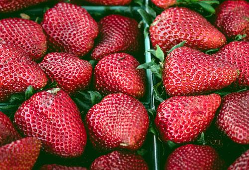 5-ideas-para-conservar-fresas-1