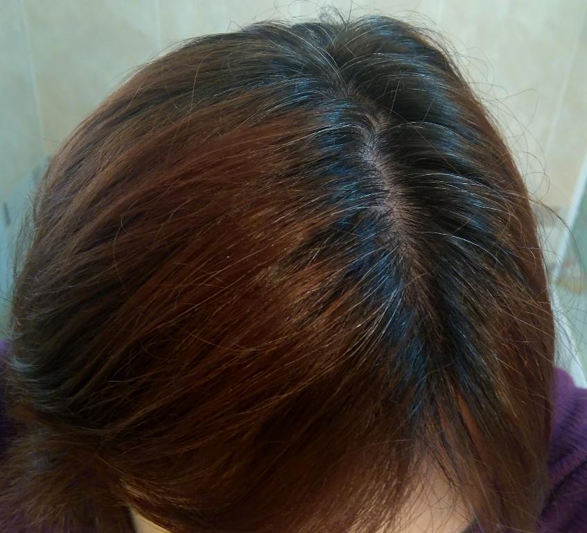 Todo sobre la Henna (mi experiencia) Belleza