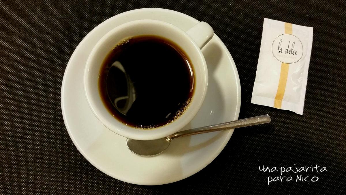 13199423_10209580623058064_431334469_o