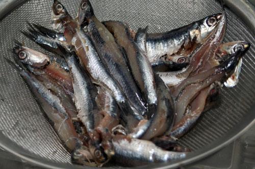 limpiar-los-boquerones