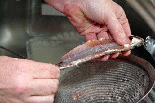 Como-Limpiar-Boquerones-y-Anchoas-Paso-a-Paso-3
