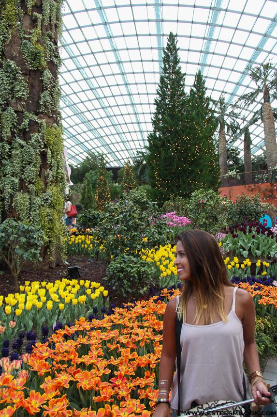 singapur ciudad-6084