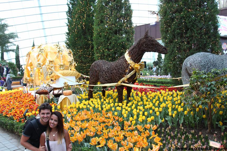 singapur ciudad-6064