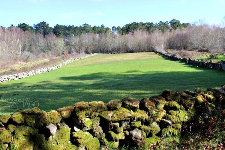 prado-camino-sanabres