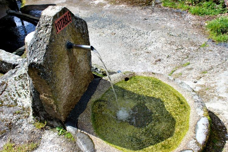 fuente-camino-sanabres