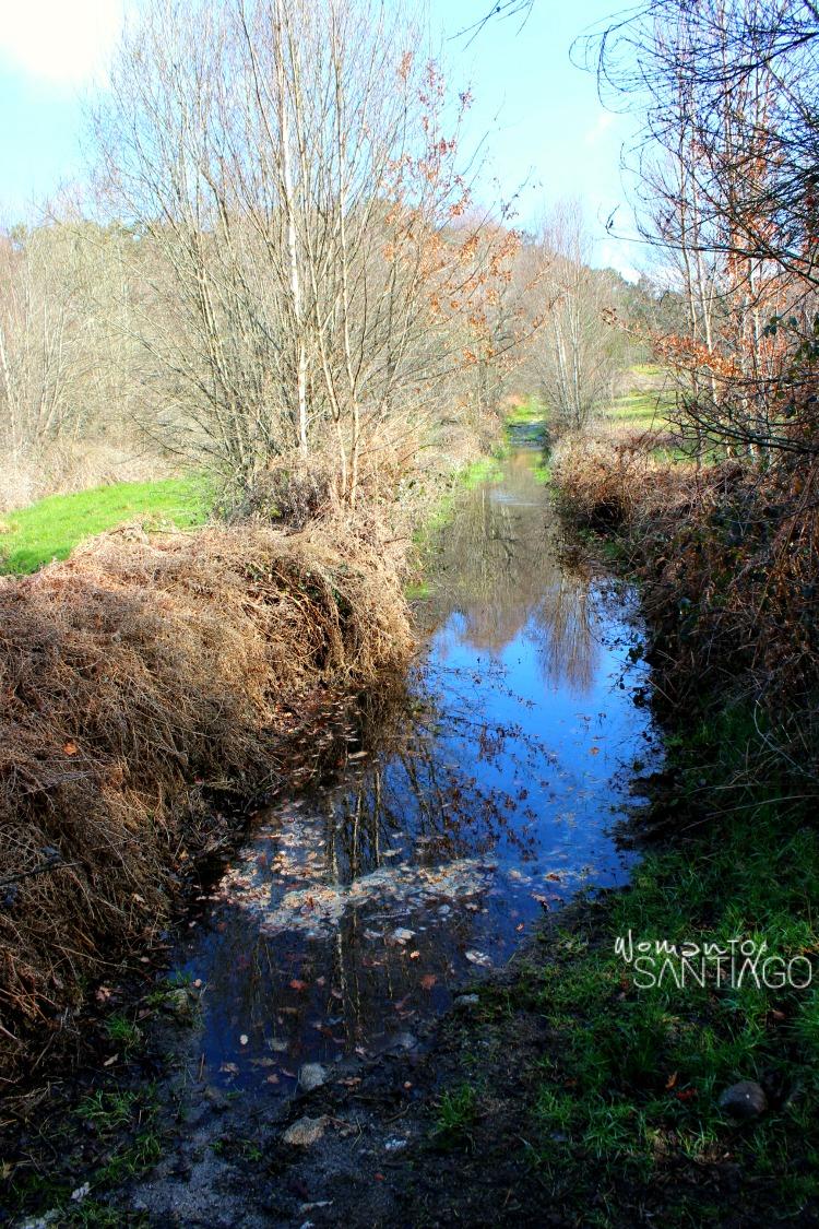 arroyo-camino-sanabres