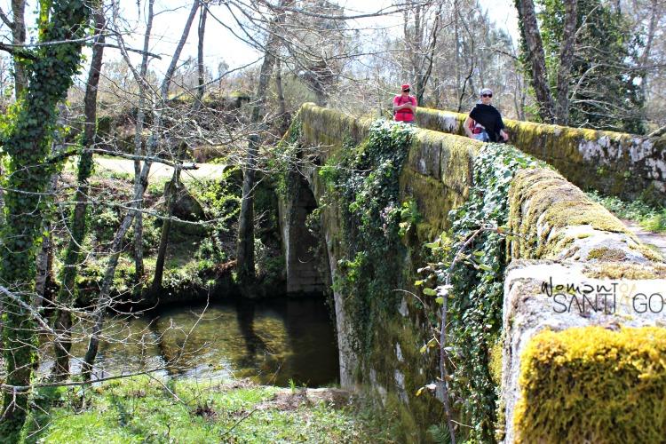 camino-sanabres-tamallancos-puente