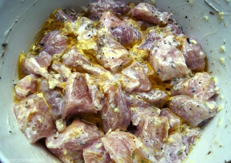 Souvlaki de pollo