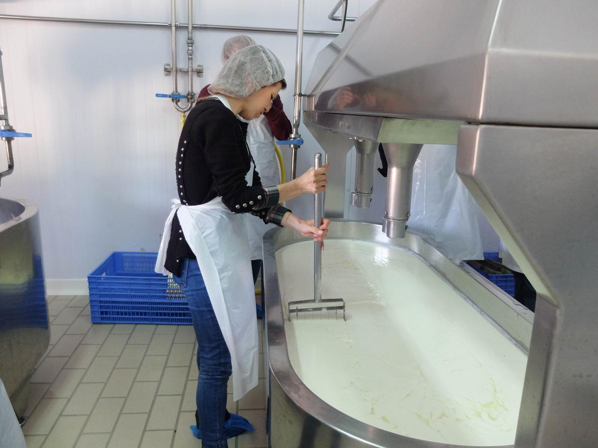 Blogtripqueixotetilla (9)