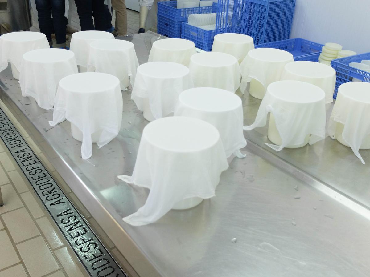 Blogtripqueixotetilla (15)