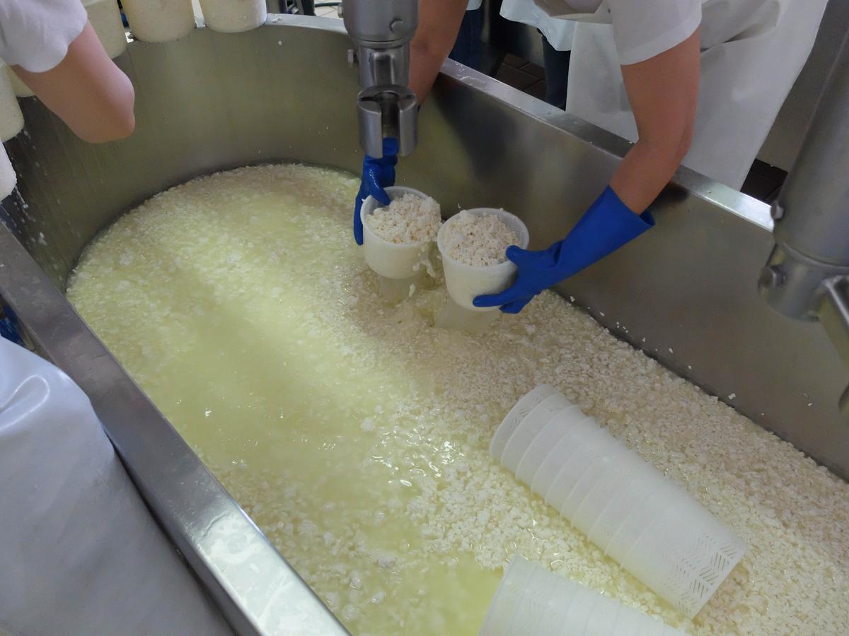 Blogtripqueixotetilla (18)