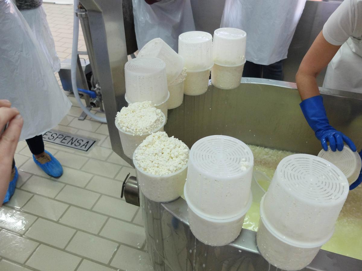 Blogtripqueixotetilla (19)