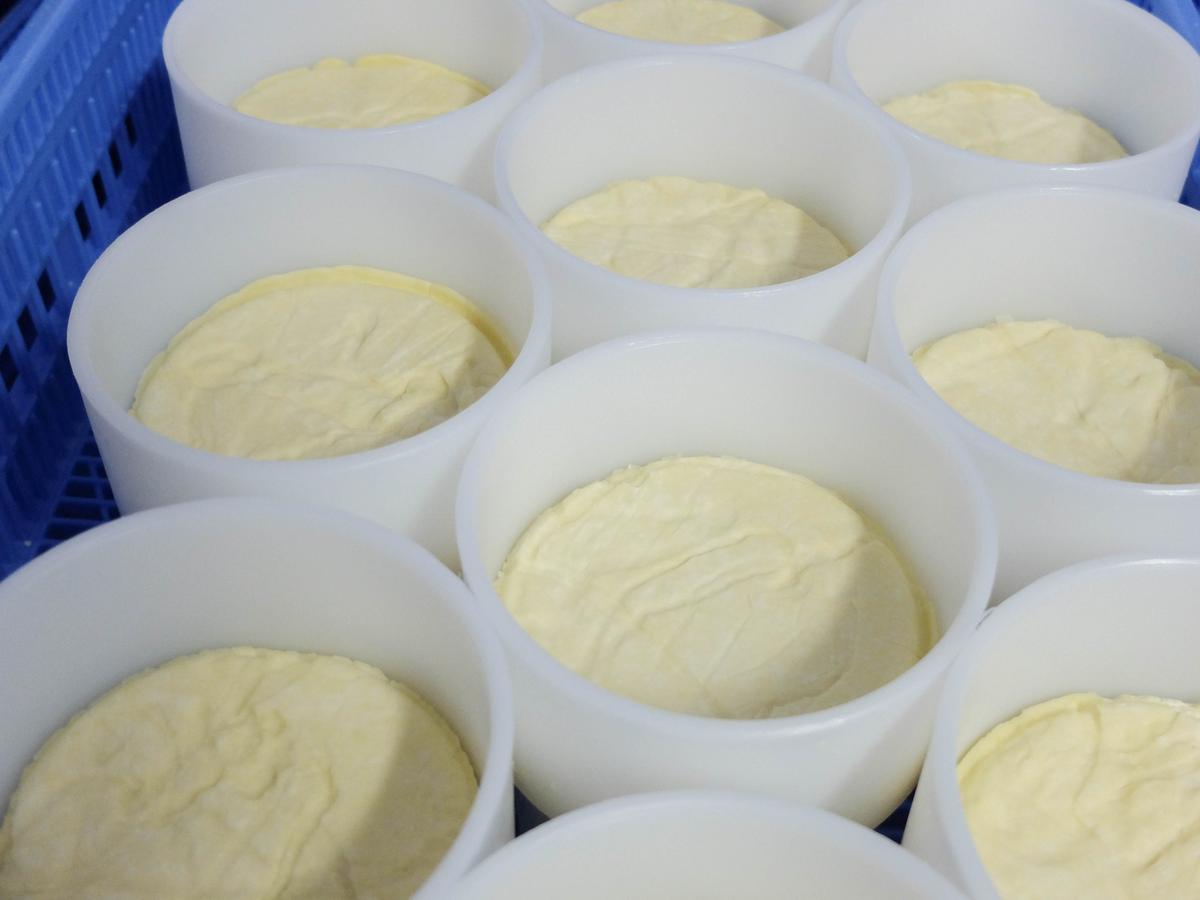 Blogtripqueixotetilla (24)