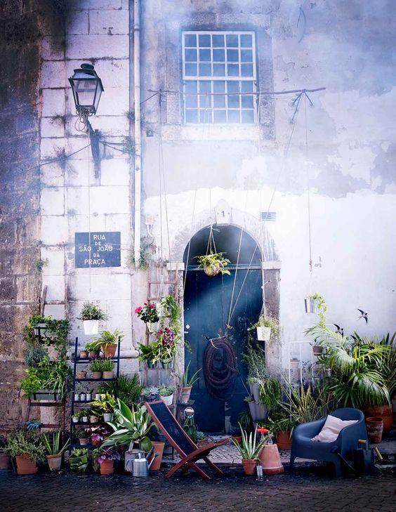 claves_low_cost_para_disfrutar_de_nuestros_exteriores_este_verano_macetas_flores_plantas