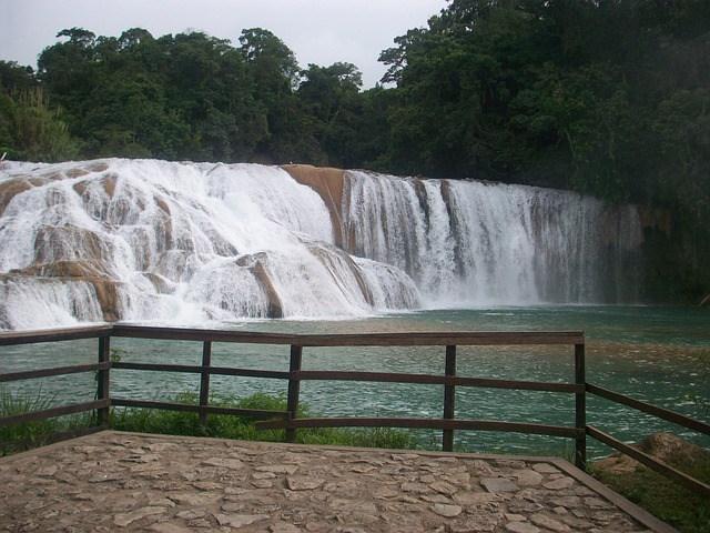 La ruta del café de Chiapas