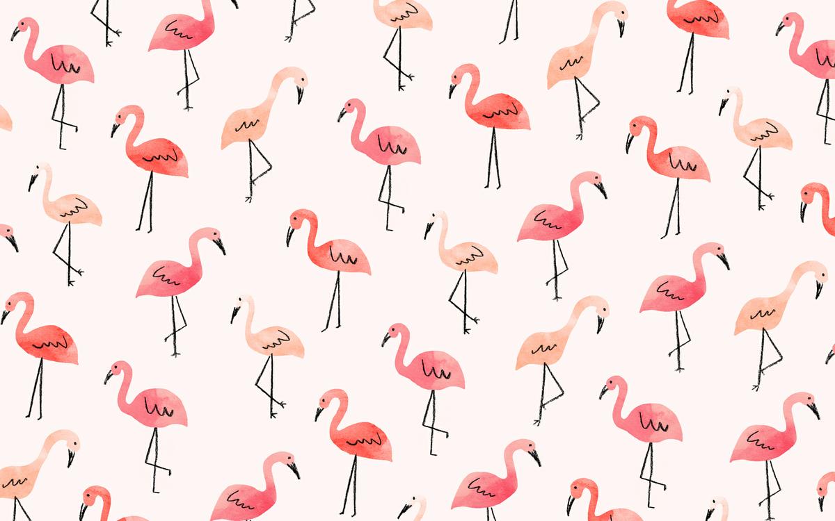 JenBPeters_Flamingos