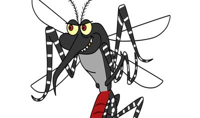 Trampa para mosquitos de azúcar y levadura