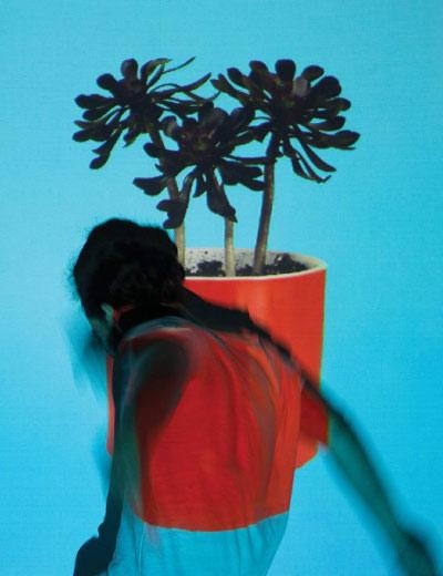 local-natives-portada