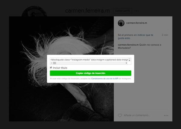 mas seguidores en instagram