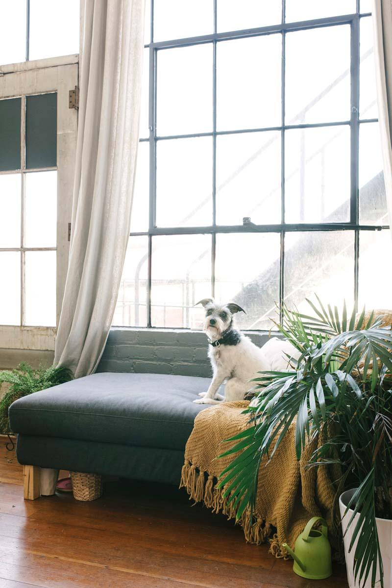 loft_estilo_industrial_decoracion_blog_ana_pla_interiorismo_decoracion_7