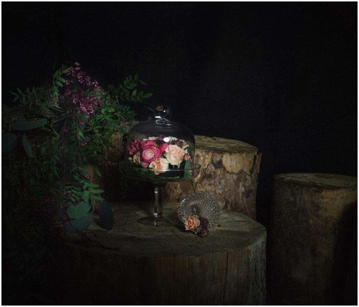 Bosque encantado by El Balcón de Alicia