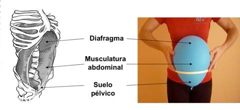 suelo_pelvico