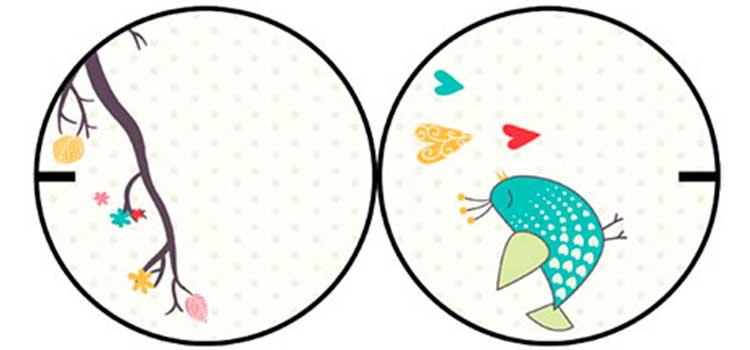 historia-cine-taumatropo