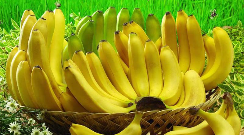 Platano o banana