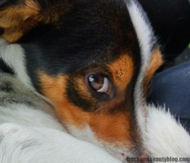 fotoefectos.com__final_1939503651489_origen