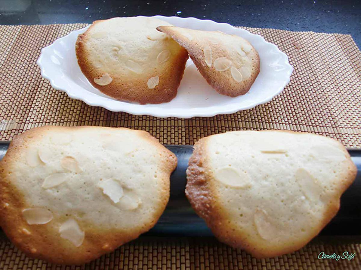 Tejas-y-tulipas-de-almendra