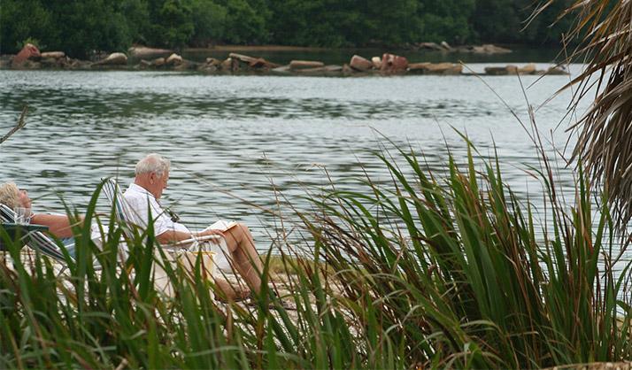 Beneficios de la fibra