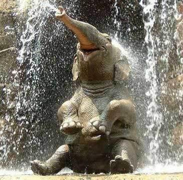 ducha-para-despertarse