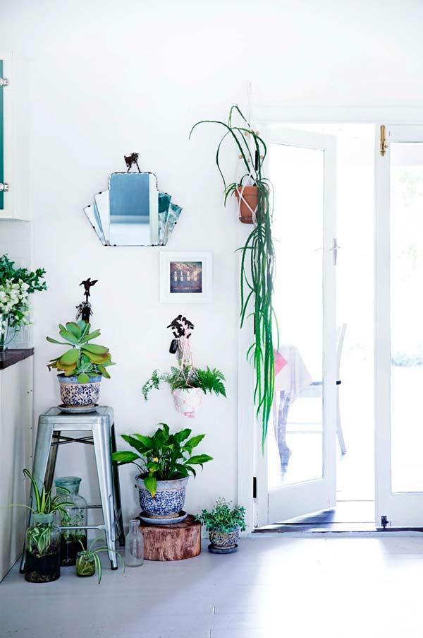 planta1-(6)