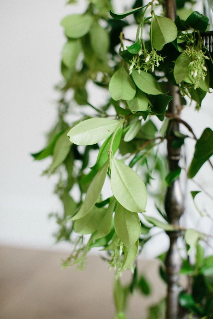 Prepara una camarera de bebidas