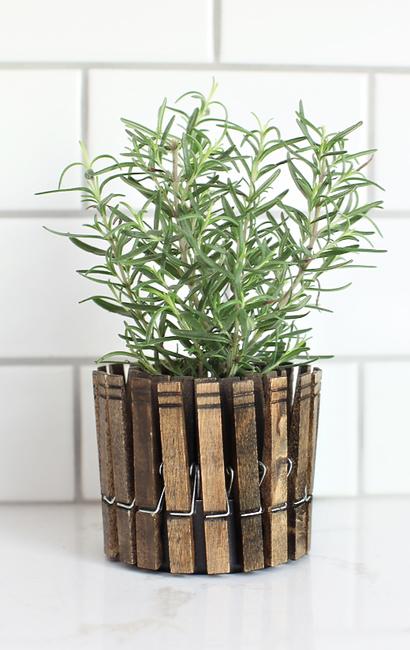 clothespinplanters_rosemary1