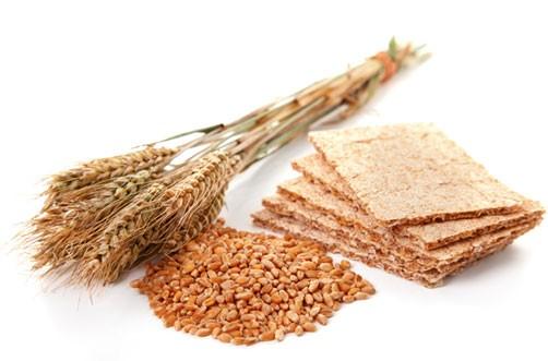 la fibra en la alimentacion