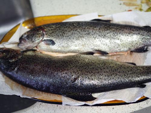 limpiar-bien-la-trucha