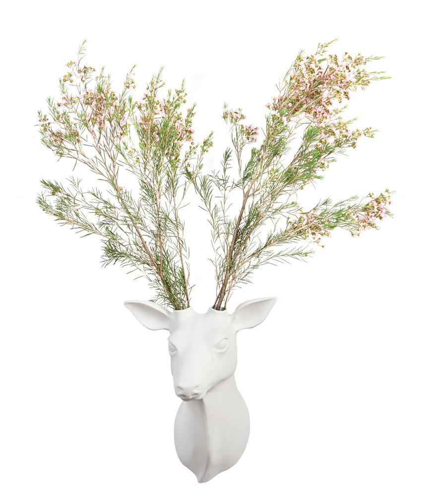 Comp. Guille Garcia Hoz