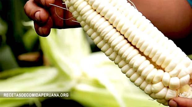 Maíz Blanco Gigante del Cusco