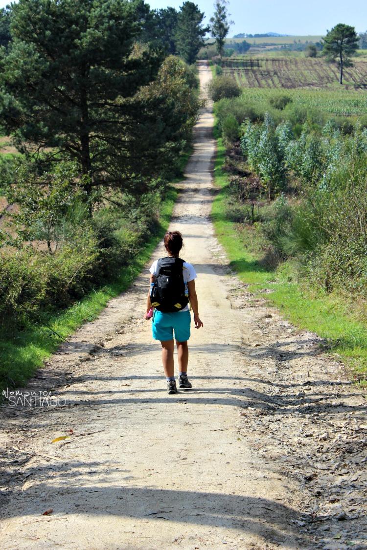 foto del camino a fisterra