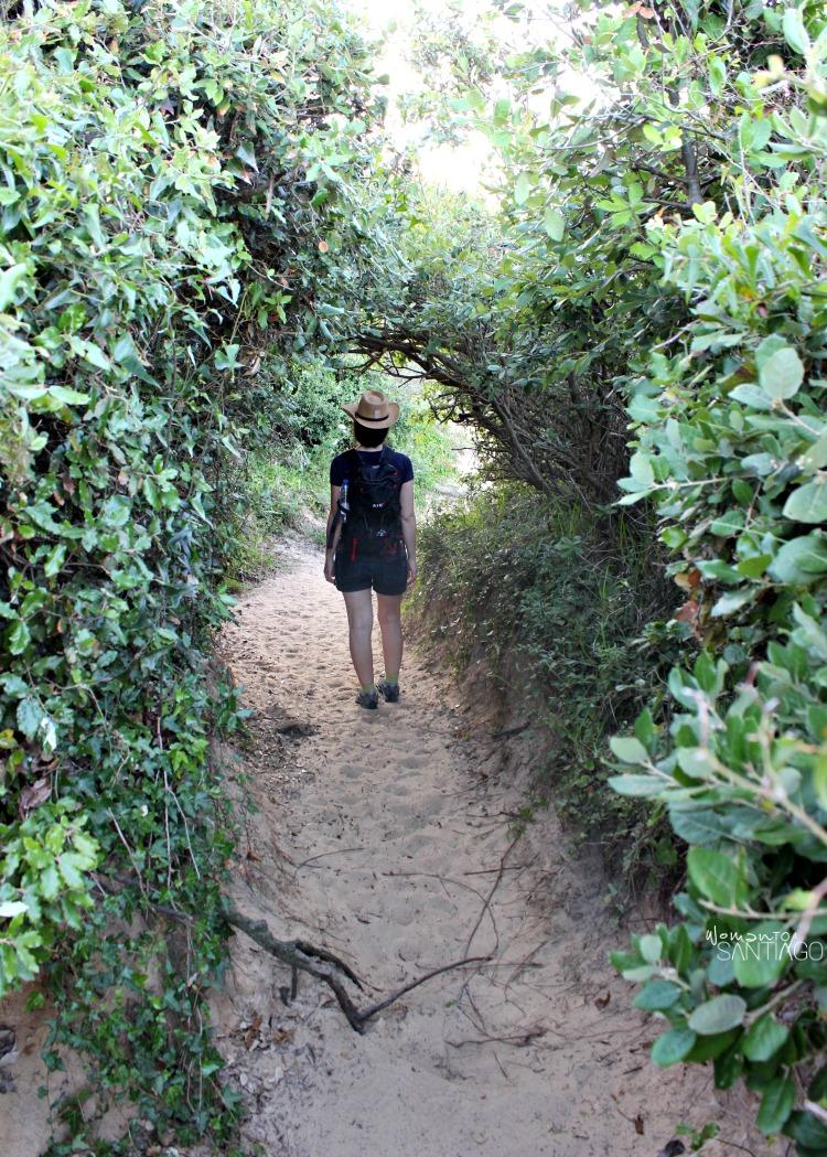 foto del camino por la playa