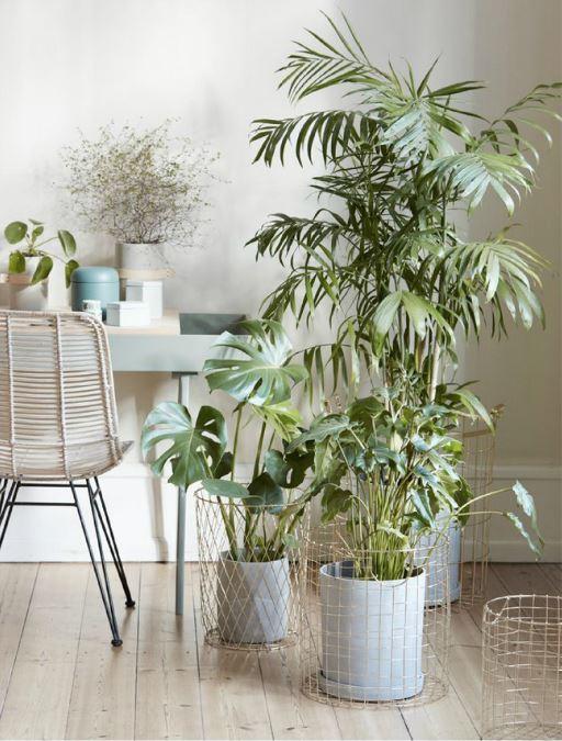 Decorar con plantas Hubsch