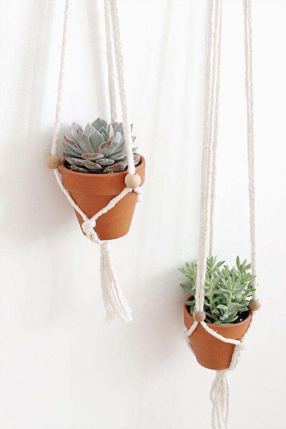 Decorar con plantas macetas colgantes