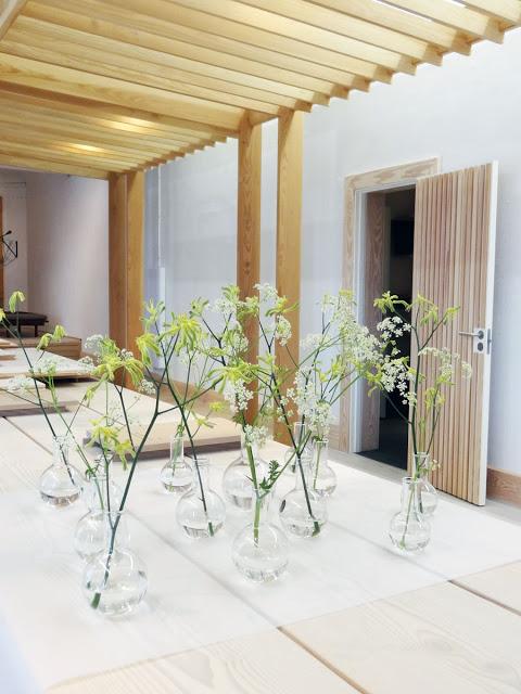 Decorar con plantas probetas