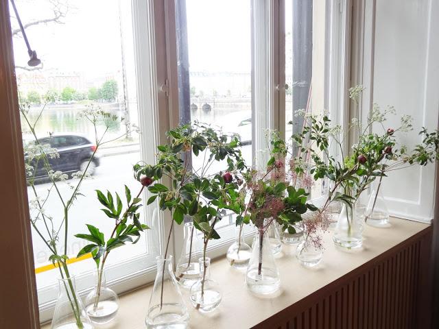 Decorar con plantas botes de laboratorio
